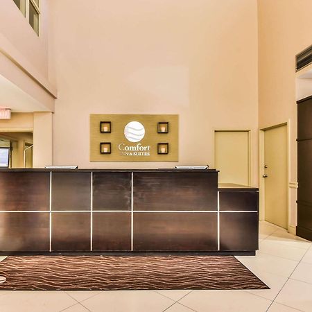 ווינדזור Comfort Inn & Suites Ambassador Bridge מראה חיצוני תמונה