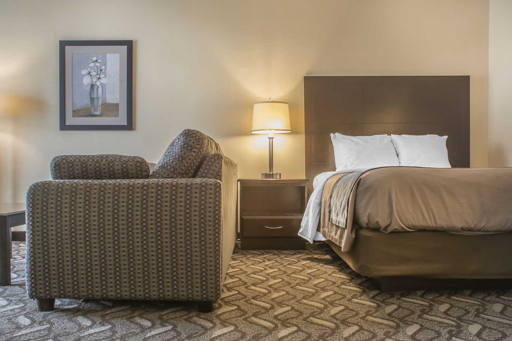 ווינדזור Comfort Inn & Suites Ambassador Bridge חדר תמונה