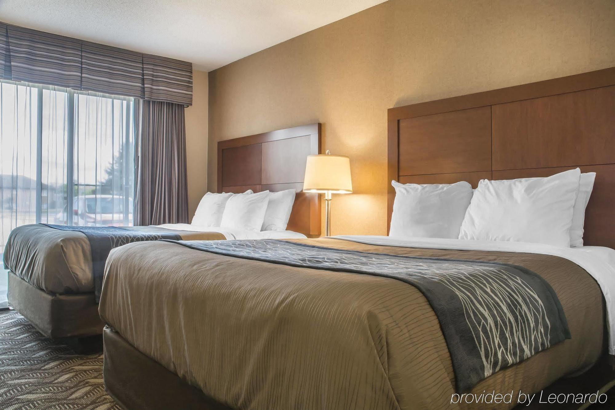 ווינדזור Comfort Inn & Suites Ambassador Bridge מראה חיצוני תמונה